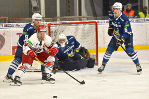 dsc_3174 kopie.jpg